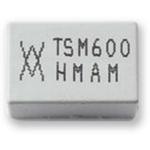 TSM600-250F-2图片2