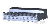 P4CE10F17C6N中文资料