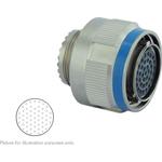P4CE10F17C6N中文资料