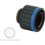 P4CE10F17C6N中文资料