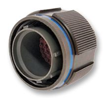 P4CE10F17C6N中文资料