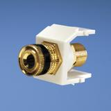 NKBPBIWY图片2