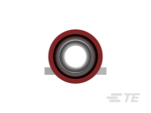52929-1图片4