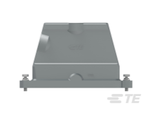 T1920241121-000图片2