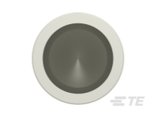 T2192502050-000图片5