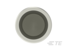 T2400002250-000图片4