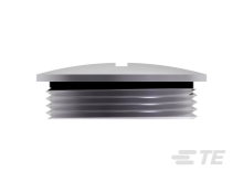 T3165250111-000图片4