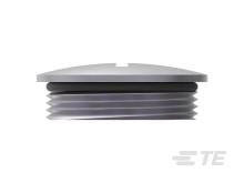 T3165250111-000图片5
