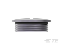 T3165250111-100图片5