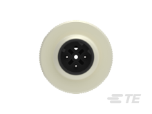 T4111512031-000图片2