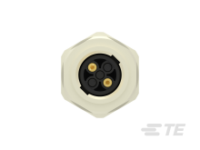 T4130012021-000图片5
