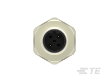 T4132412021-000图片2