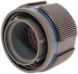 P4CE10F17C6N中文资料