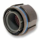 P4CE10F17C6N中文资料