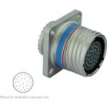 P4CE10F17C6N中文资料