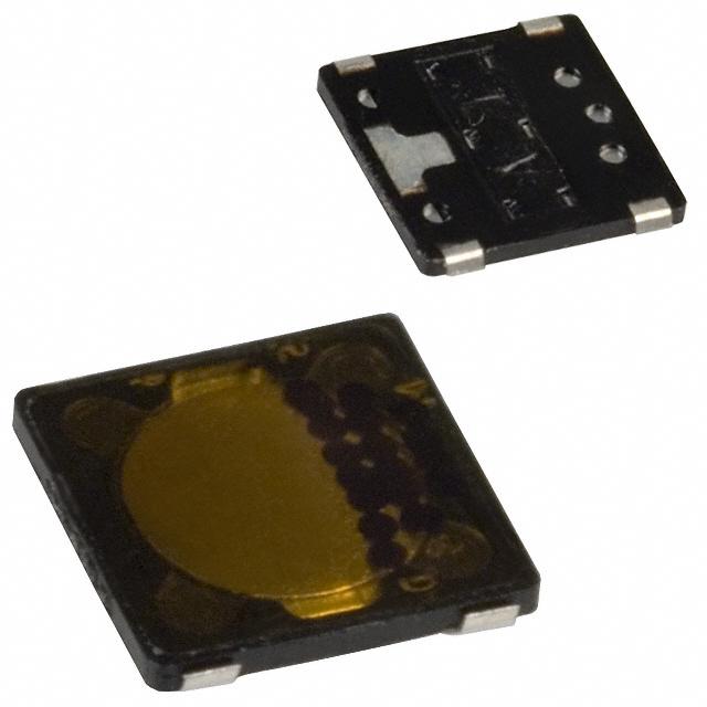 EVQ-P6SB55图片2