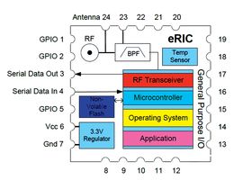 ERIC9图片4