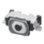 P4CE10F17C6N中文资料