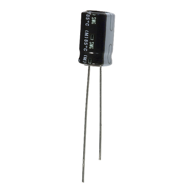 ESMG101ELL220MHB5D图片8