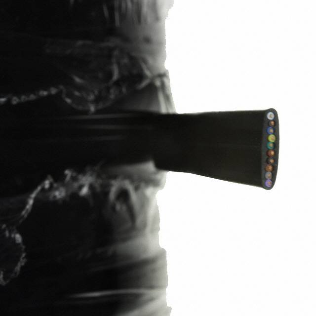 P4CE10F17C6N中文资料