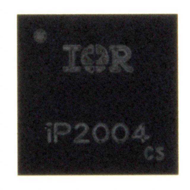 IP2004TR图片2