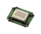 KC2520K24.0000C10E00图片3