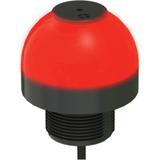 K50LGRAL1YPQ图片4
