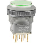 LB25WGG01-5F24-JF图片1