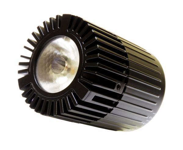 LS17-002W31图片4
