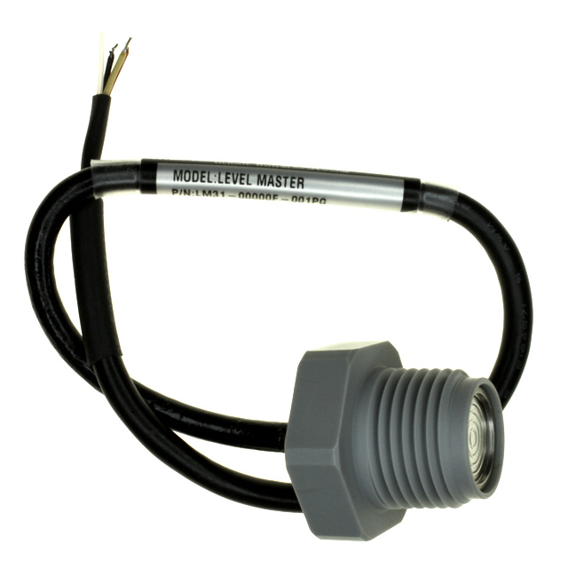 LM31-00000F-030PG图片4