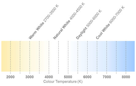 MXA8-PW25-H001图片2