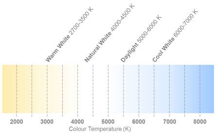 MXA8-PW25-H001图片4