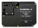 P4CE10F17C6N中文资料