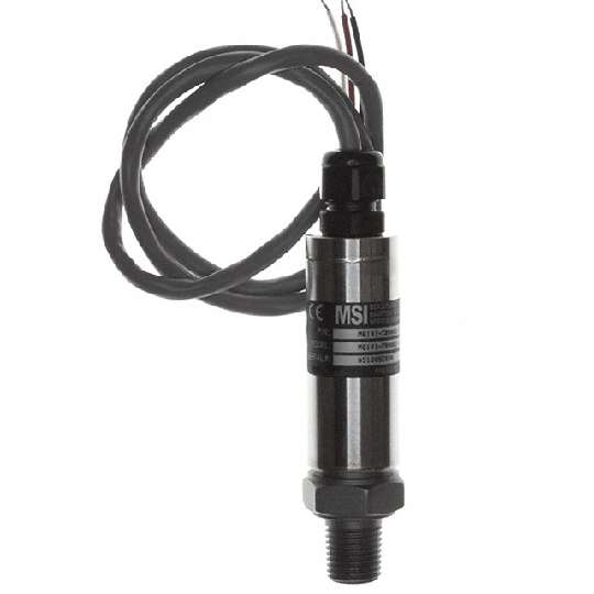M6141-C00005-500PG图片2