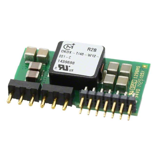 OKDX-T/25-W12-001-C图片3