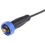 PX0416/3M00图片6