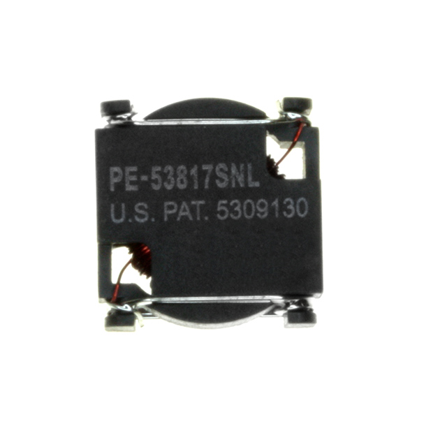 PE-53817SNL图片6