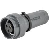 PXP7011/03S/ST/0507图片3