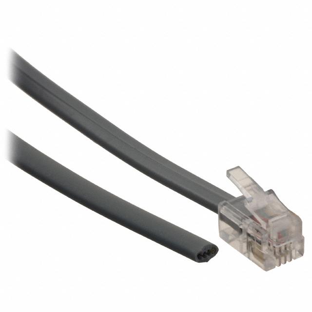 P4CE10F17C6N中文资料