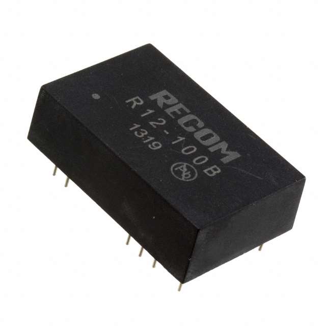 R12-100B图片4