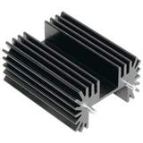 RA-T2X-38E图片4