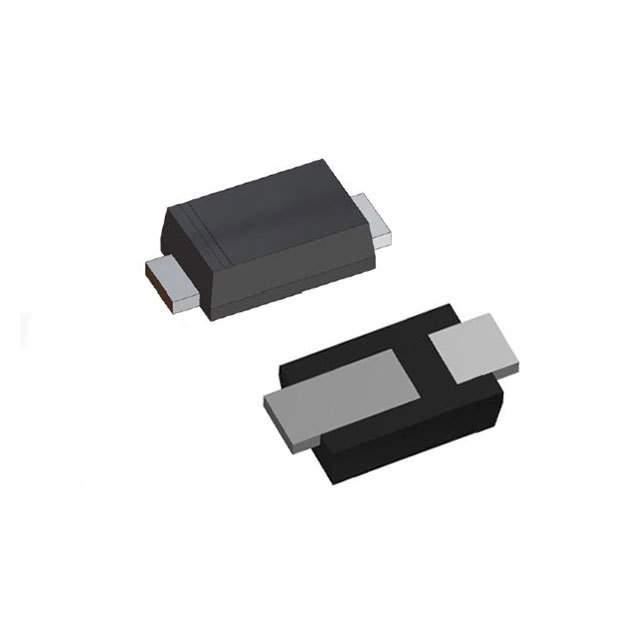 RS1KFP图片3