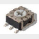 RTE1000G13