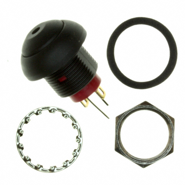 RP8100B2M1CEBLKBLKGRN图片2