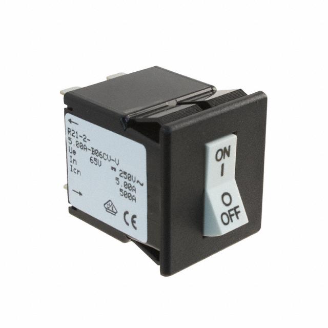 R21-62-5.00A-B121EV-S图片1