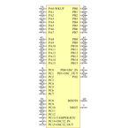 STM32F100R8T6B引脚图