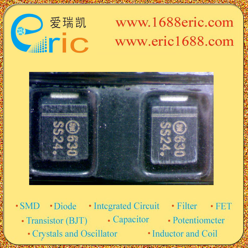 SS24T3图片7