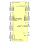 STM32F205RGT6引脚图