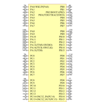 STM32F205ZET6引脚图