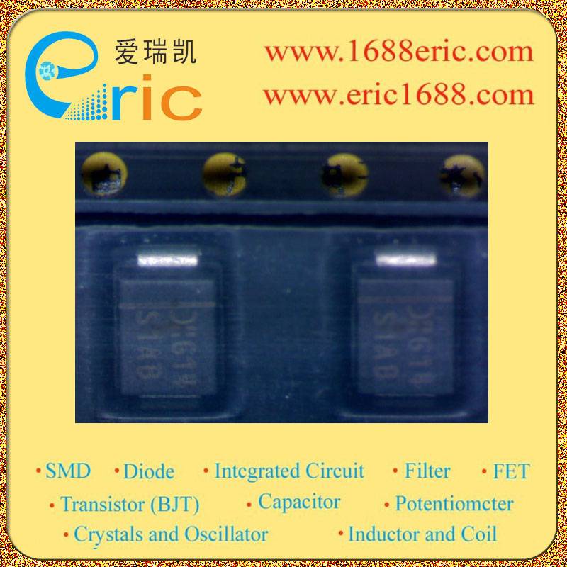 S1AB-13-F图片9